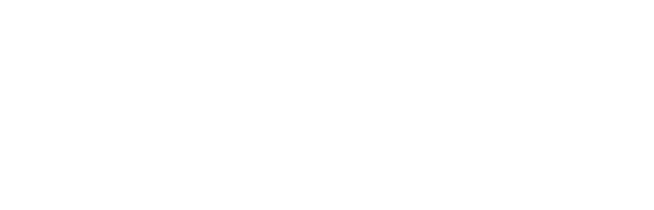 nationalnewsy logo