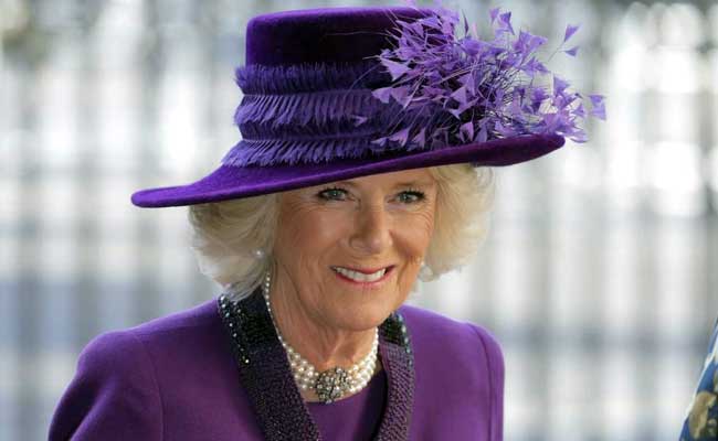 From “Wicked Stepmother” To QuPrince Charles een Consort: How UK (Mis)Judged Camilla