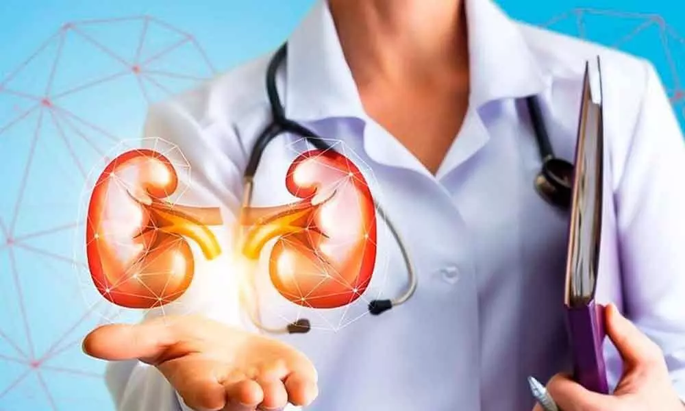 NephroPlus Summit proffers integrated solutions to kidney care