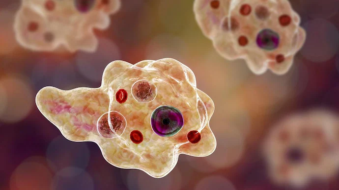 Symptoms Of Deadly Brain-eating Amoeba Naegleria Fowleri, Everything You Need To Know